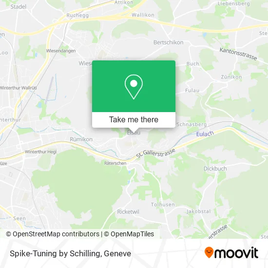 Spike-Tuning by Schilling map