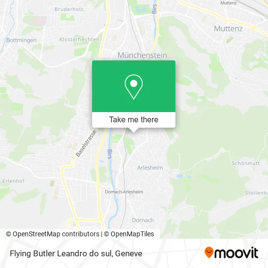 Flying Butler Leandro do sul plan