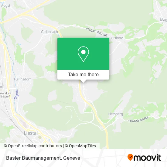 Basler Baumanagement map