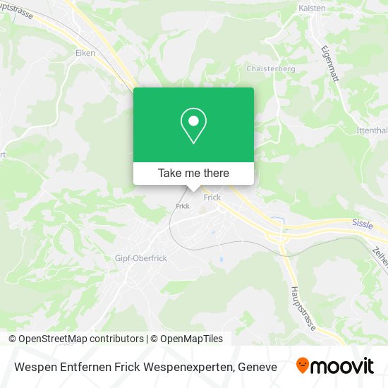 Wespen Entfernen Frick Wespenexperten map