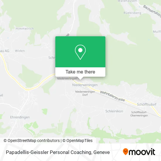 Papadellis-Geissler Personal Coaching map