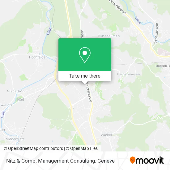 Nitz & Comp. Management Consulting plan