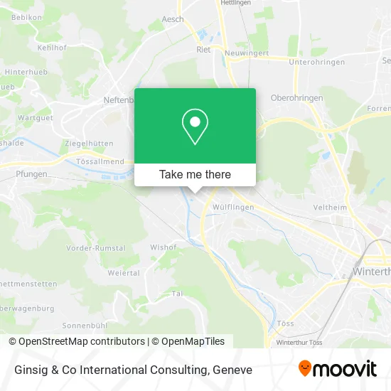 Ginsig & Co International Consulting map