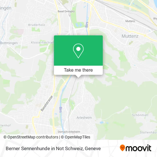 Berner Sennenhunde in Not Schweiz plan