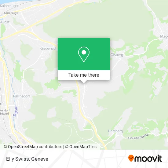 Elly Swiss map