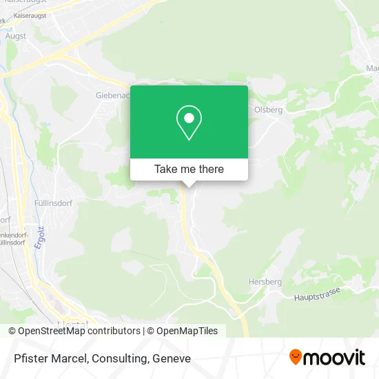 Pfister Marcel, Consulting map