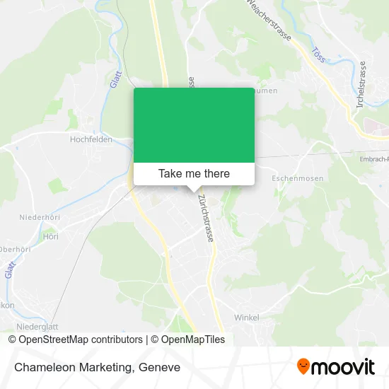 Chameleon Marketing map