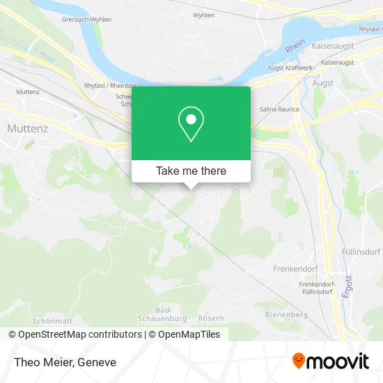 Theo Meier plan