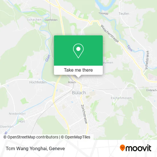 Tcm Wang Yonghai map