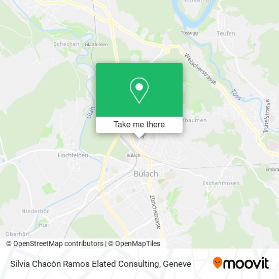 Silvia Chacón Ramos Elated Consulting map