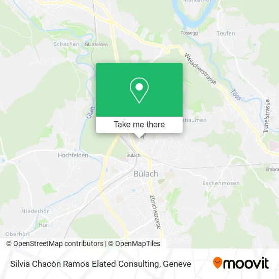 Silvia Chacón Ramos Elated Consulting map