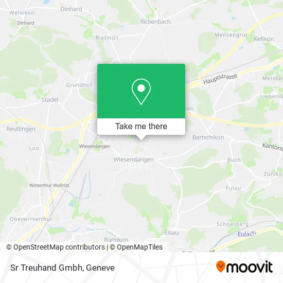 Sr Treuhand Gmbh map