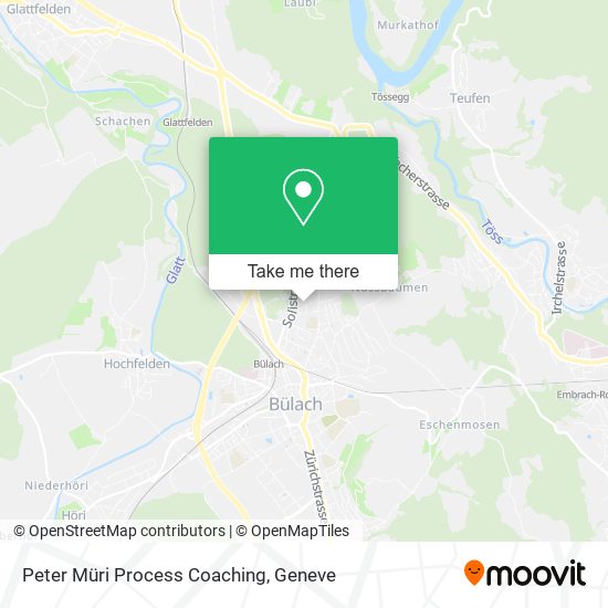 Peter Müri Process Coaching map