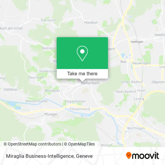 Miraglia Business-Intelligence map