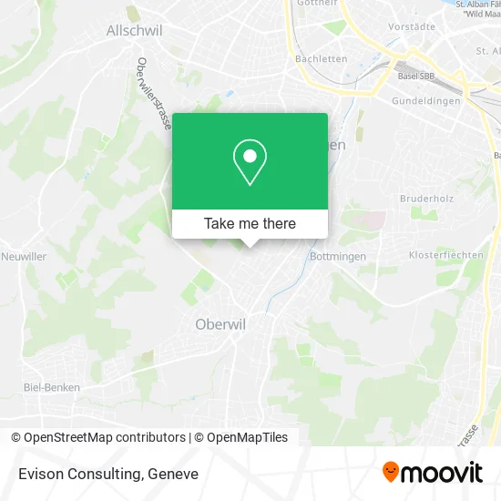 Evison Consulting plan