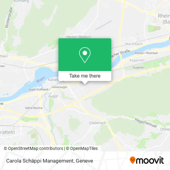 Carola Schäppi Management map