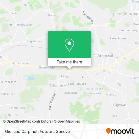 Giuliano Carpineti Fotoart map