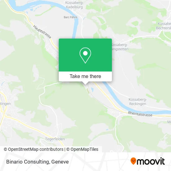 Binario Consulting map