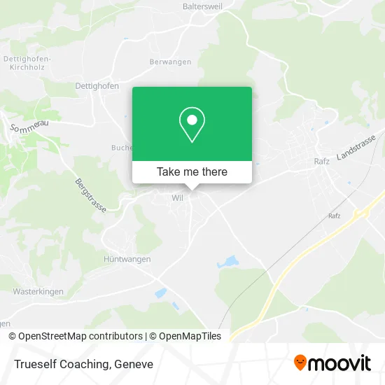 Trueself Coaching map
