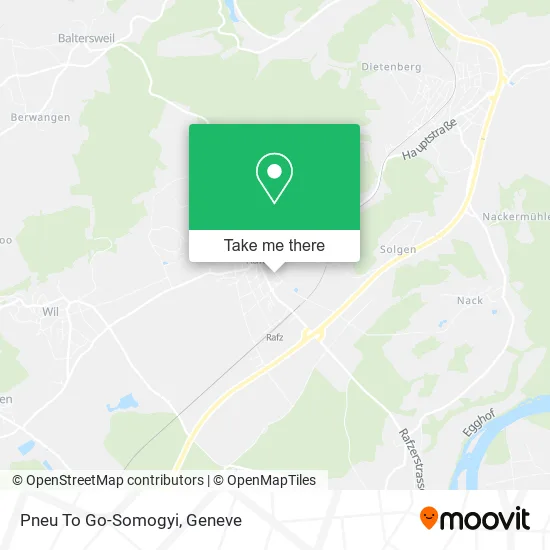 Pneu To Go-Somogyi map