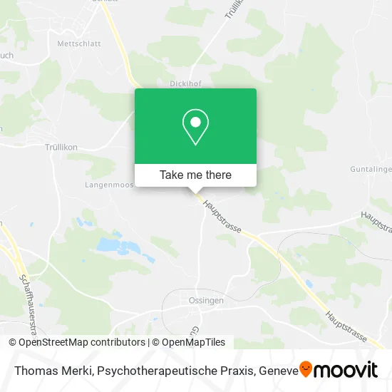 Thomas Merki, Psychotherapeutische Praxis map