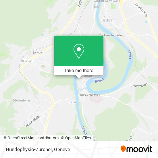 Hundephysio-Zürcher plan