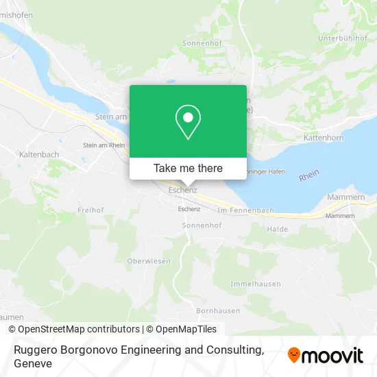 Ruggero Borgonovo Engineering and Consulting map