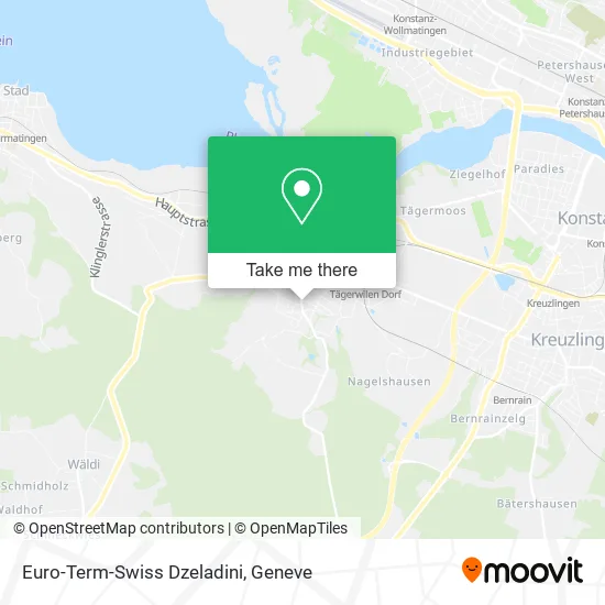 Euro-Term-Swiss Dzeladini map