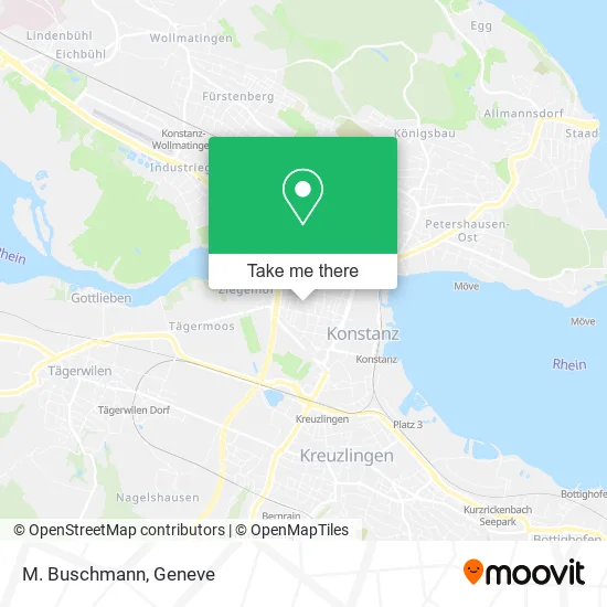 M. Buschmann map