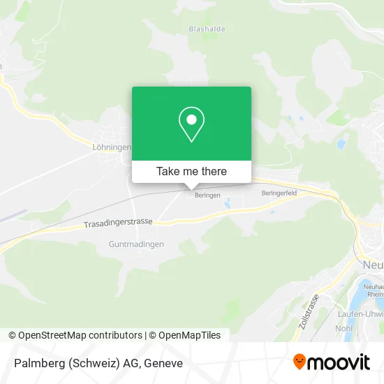 Palmberg (Schweiz) AG plan