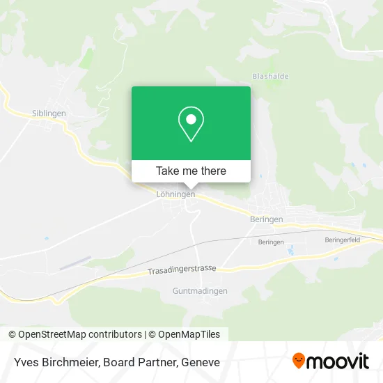 Yves Birchmeier, Board Partner map