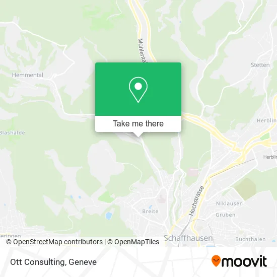Ott Consulting plan
