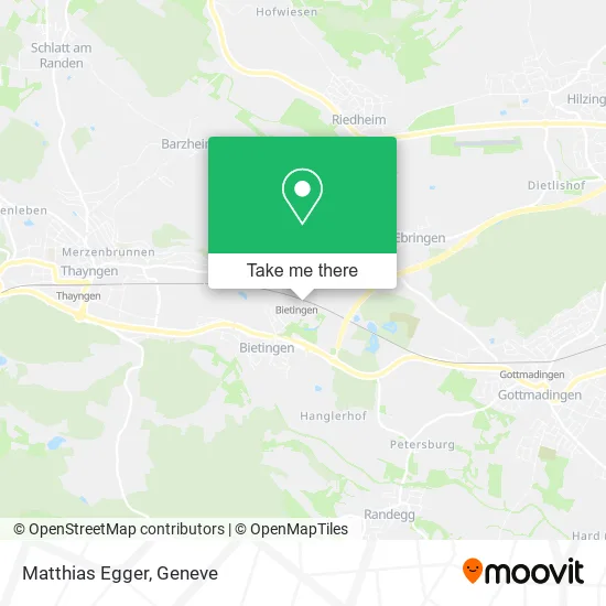Matthias Egger plan