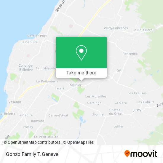Gonzo Family T map