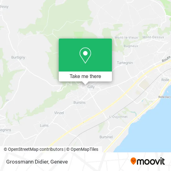 Grossmann Didier map