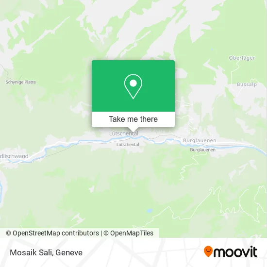 Mosaik Sali map