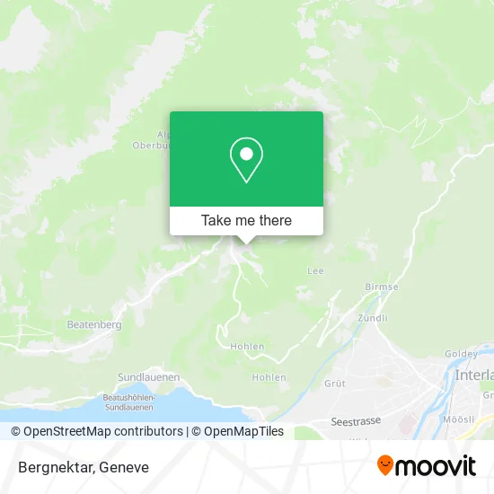 Bergnektar map