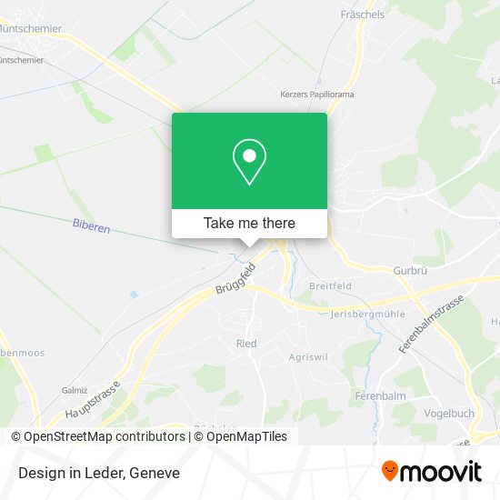 Design in Leder map