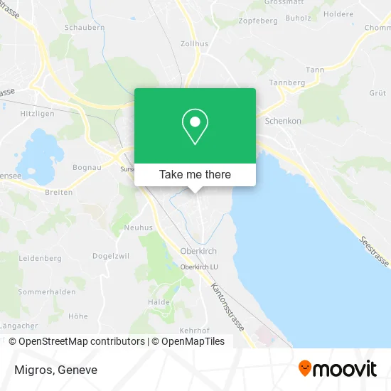Migros plan