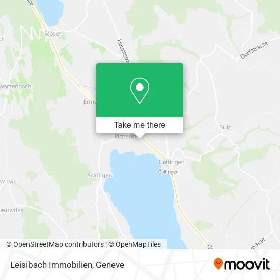 Leisibach Immobilien map