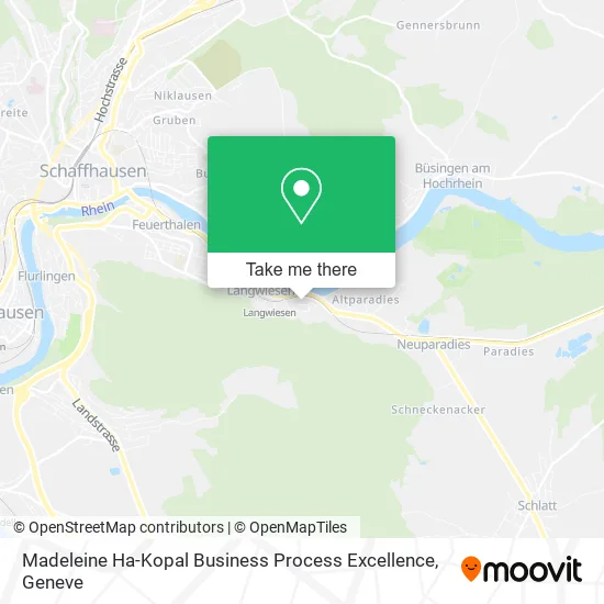 Madeleine Ha-Kopal Business Process Excellence map