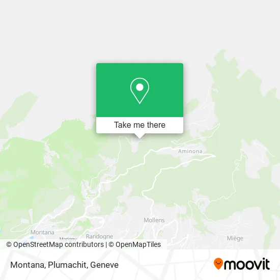 Montana, Plumachit map