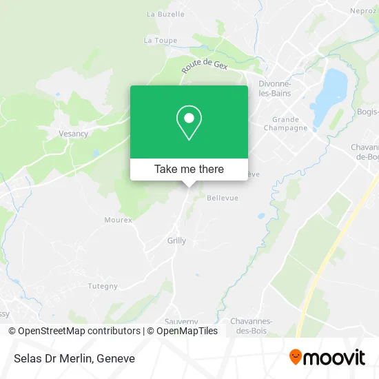 Selas Dr Merlin map