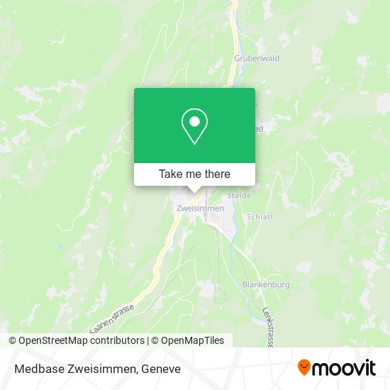 Medbase Zweisimmen map
