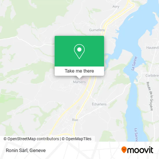 Ronin Sàrl map