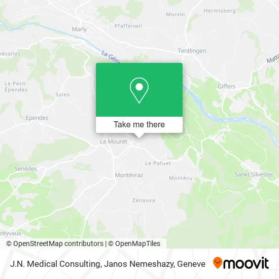 J.N. Medical Consulting, Janos Nemeshazy map