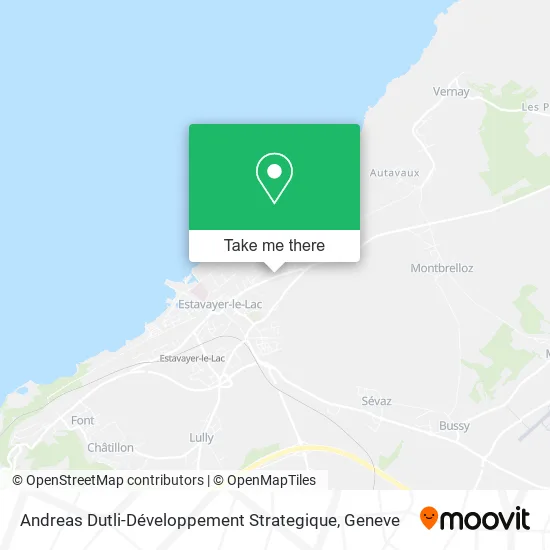 Andreas Dutli-Développement Strategique map