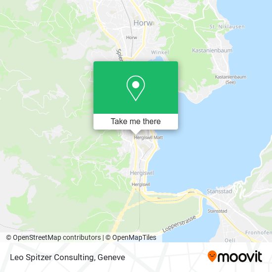 Leo Spitzer Consulting map