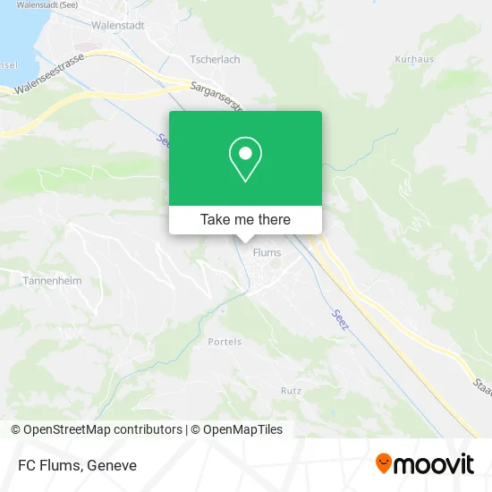 FC Flums map