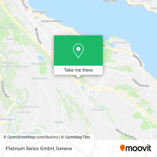 Platinum Swiss GmbH map